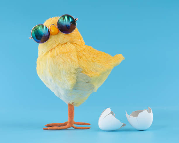 istock Yellow chick decoration wearing silly sunglasses with a cracked, hatched egg. 1474408505