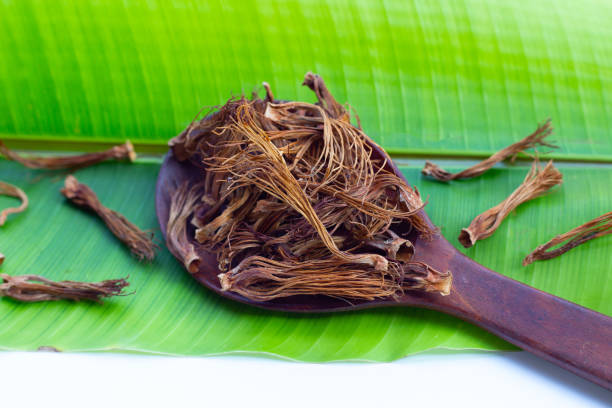 istock Dried red cotton tree flower 1474409645