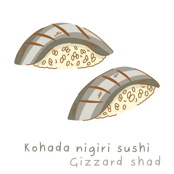 Vector illustration of Portioned kohado nigiri sushi with gizzard shad on rice side view and three quarter view