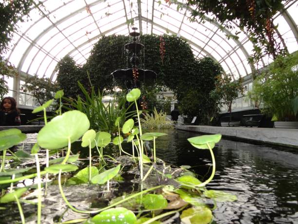 istock The Enid A. Haupt Conservatory January 19, 2013 1474411592