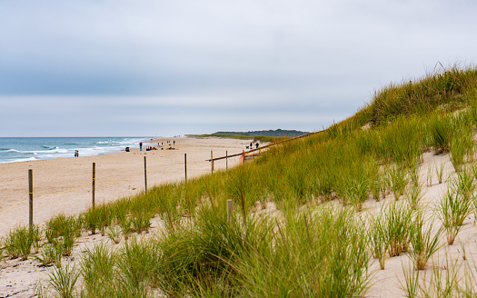 Seagrass and sand greet visitors to the Cape Cod National Seashore