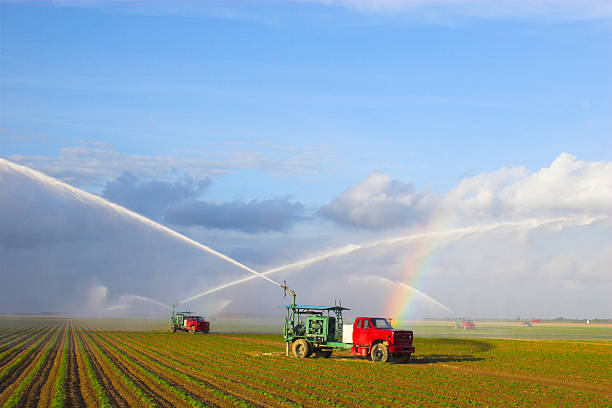 istock Tractors watering plants 147442507