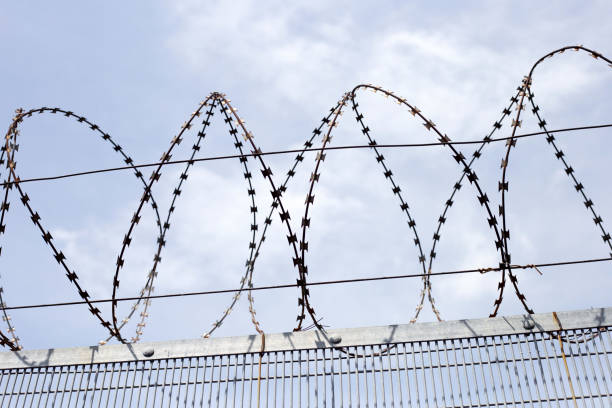 istock Barbed wires against sky. Wired fence 1474431258