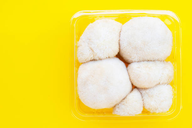 istock Fresh lion's mane mushroom on yellow background. 1474431373