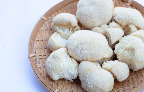 istock Fresh lion's mane mushroom on white background. 1474431386