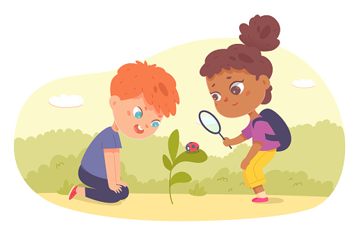 School children holding magnifying glass to watch ladybug on green plant in yard, garden or summer park vector illustration. Cartoon isolated curious boy and girl explore nature and study biology.