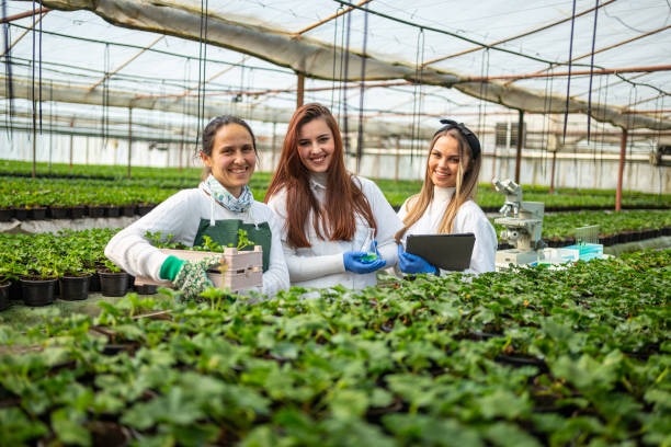 wissenschaftlerinnen arbeiten im gewächshauslabor. - agriculture greenhouse research science stock-fotos und bilder