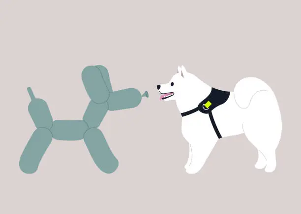 Vector illustration of A samoyed dog staring at the balloon sculpted as a poodle shape, imposter syndrome, friendship concept