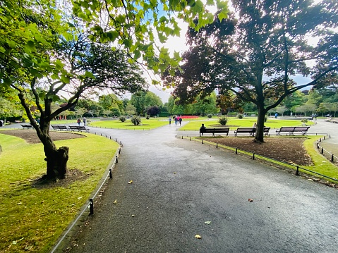 As you stroll through St. Stephen's Green Park on this beautiful day, you can't help but be awestruck by the picturesque scene around you. The sun is shining brightly, casting a warm and inviting glow across the entire park.

As you look around, you see lush green trees swaying gently in the breeze, colorful flowers blooming in vibrant hues, and birds chirping happily in the branches. The air is fresh and crisp, invigorating your senses and filling you with a sense of calm and contentment.

You take out your camera and snap some pictures, trying to capture the essence of this serene and idyllic moment. The light is perfect, illuminating the scenery in a way that makes everything look even more magical. You take a shot of the park's famous lake, with its sparkling blue water and elegant swans gracefully gliding across the surface.

Then, you turn your lens towards a group of people having a picnic on the grass, enjoying the sun and each other's company. Their laughter and chatter mix with the sound of the nearby fountain, creating a symphony of joy and relaxation.

As you walk around, taking in the beauty of St. Stephen's Green Park, you can't help but feel grateful for this moment of peace and happiness. It's a memory that you'll cherish forever, captured forever in the photographs you took.