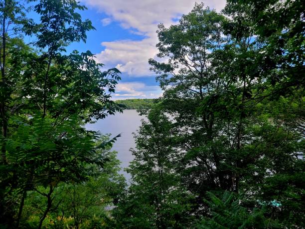 istock 3-Mile Lake, Muskoka 1474449475