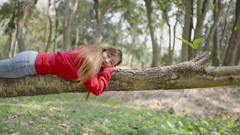 Happy beautiful woman lying down on a tree trunk