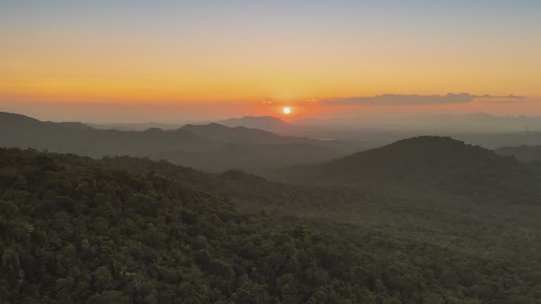 Beautiful scenery with mist golden light sunset.