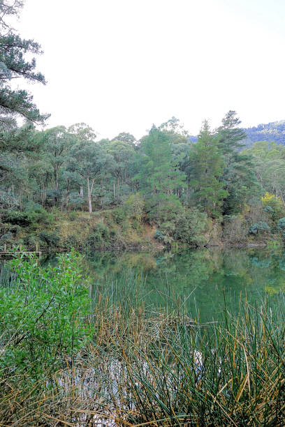istock Harrietville, Victoria, Australia 1474469054