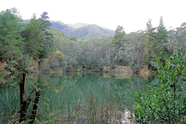 istock Harrietville, Victoria, Australia 1474469209