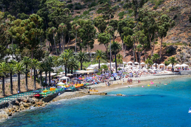 Avalon Bay, Catalina Island, California