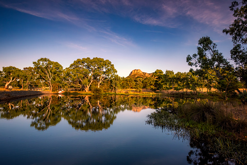 Dead trees standing in water at Lake Eildon