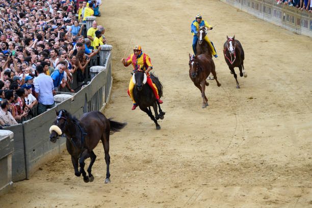 팔리오 디 시에나 공공 경마와 비어 있거나 라이더가없는 말 - palio horse italy jockey 뉴스 사진 이미지