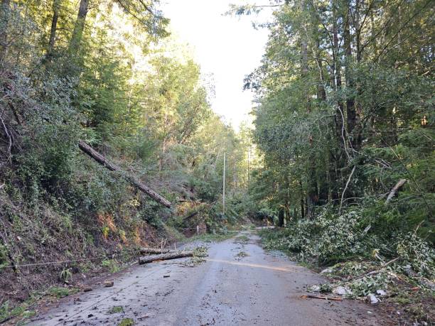 istock Messy road after the storm 1474479214
