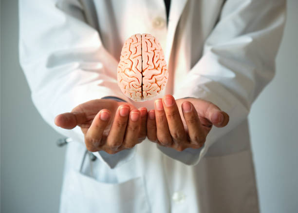 istock Brain health and doctor hand 1474482948