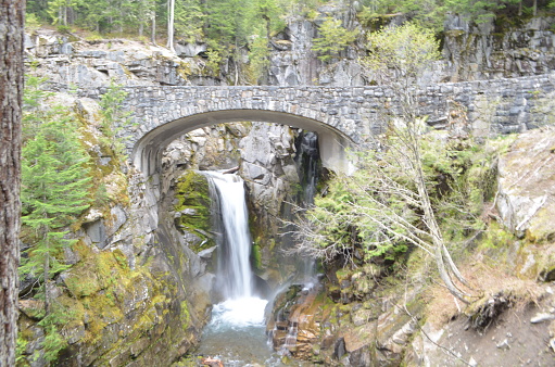 Christine Falls is a 69 foot waterfall divided in 2 sections.  Half of the falls are viewed from the roadway and half from under the road to Paradise.  The short walk to the lower viewpoint gives you this view.