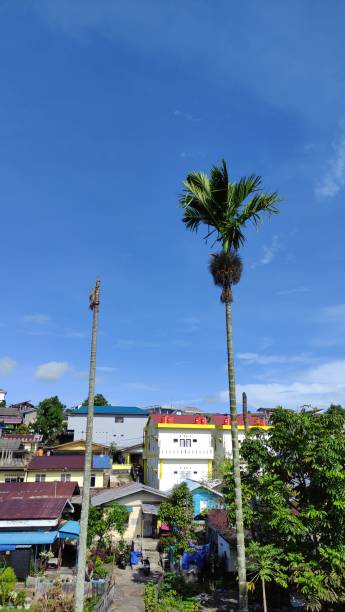 istock Indonesian Village Under The Clear Blue Sky 1474489197