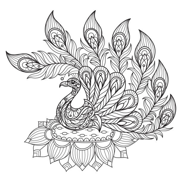 ilustraciones, imágenes clip art, dibujos animados e iconos de stock de pavo real y loto dibujados a mano para un libro para colorear para adultos - peacock feather outline black and white