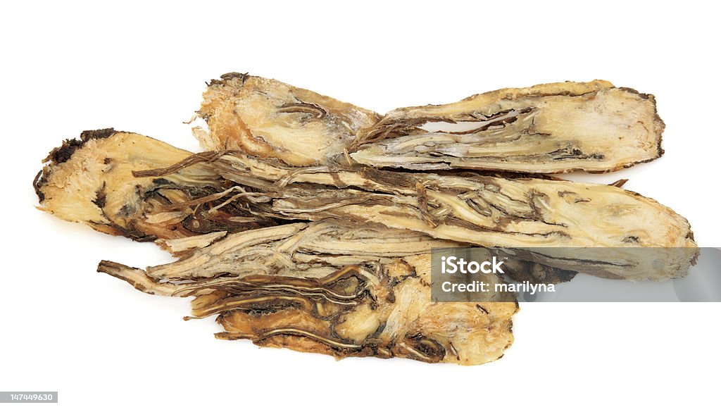 Angelica Root Herb Angelica root used in traditional chinese herbal medicine  over white background. Angelica Stock Photo