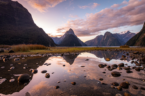 views of milford sound fjord at sundown, new zealand