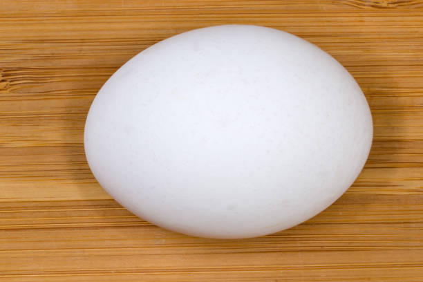 Whole white chicken egg on a wooden surface, top view close-up