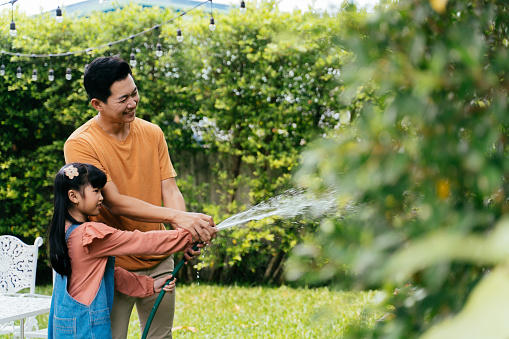 Happy Asian family of father and daughter watering the plants abd bush at home. Spending time together in garden