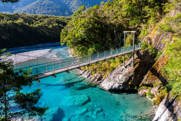 niebieskie baseny są częścią rzeki makarora, która spływa z pobliskich gór w mt aspiring - new zealand forest landscape mountain zdjęcia i obrazy z banku zdjęć