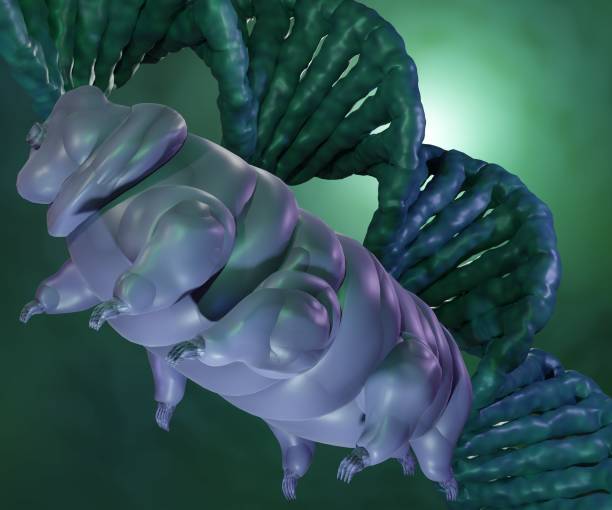 istock tardigrade or water bear with DNA stands molecule 1474502408