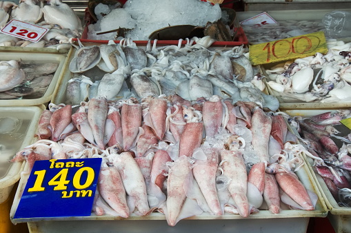 fresh squid on the market for sale