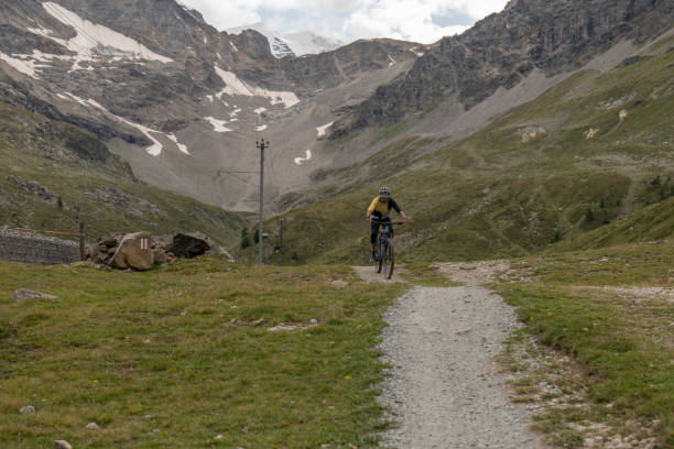 istock Mountain biker descends trail in the Alps 1474508219