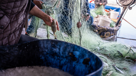 fisherman is picking fish on fishnet focus on foreground horizontal small business still