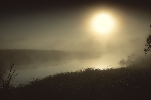 Sun through the fog on the river in the morning
