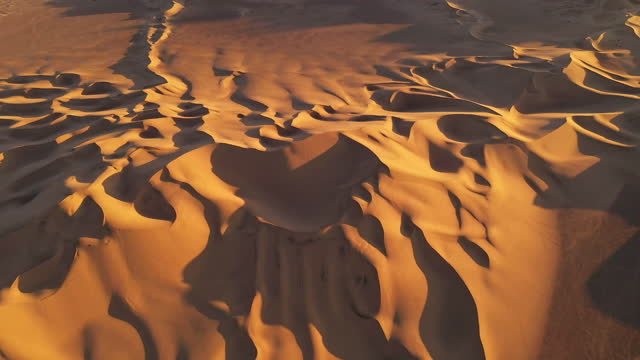 Desert sand dune patterns in golden light