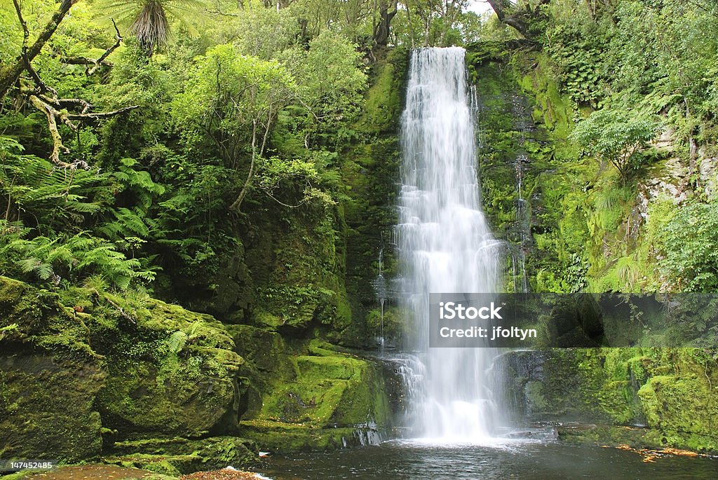 Cachoeira - Foto de stock de Alto - Descrição Geral royalty-free