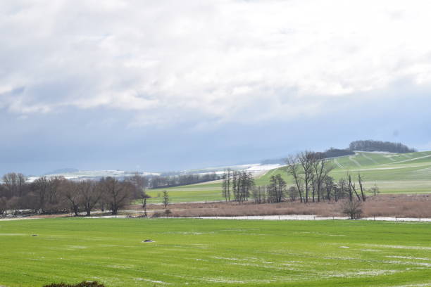 istock spring green swampland with snow 1474528583