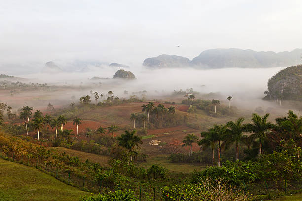 Vinales Valley, Cuba stock photo