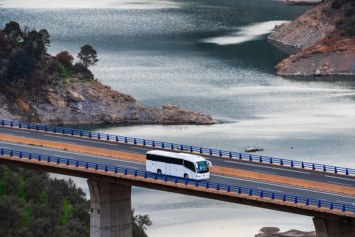 Passenger bus circulating on a viaduct over a swamp.