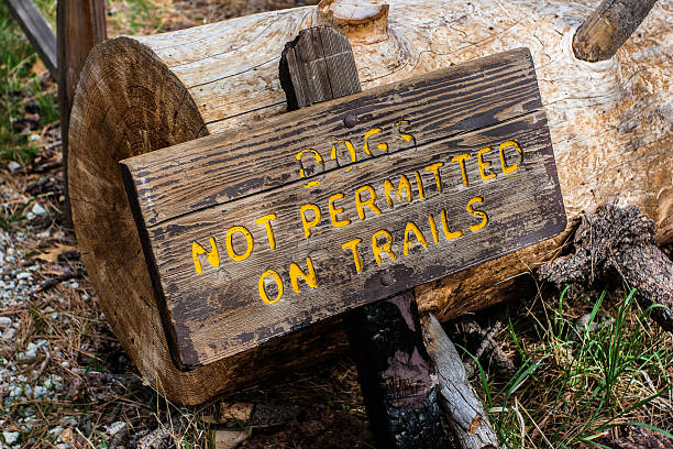 istock Dogs Not Permitted on Trails Sign at Trail Head 147454277