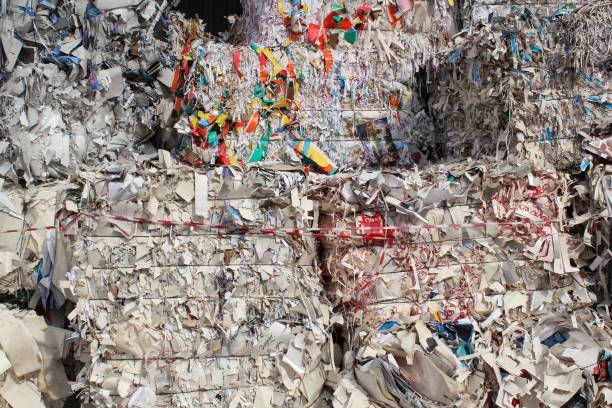 istock Wastepaper compact texture pile for recycling on sorting plant. Technology of reuse materials. Stack of shredded paper 1474543904