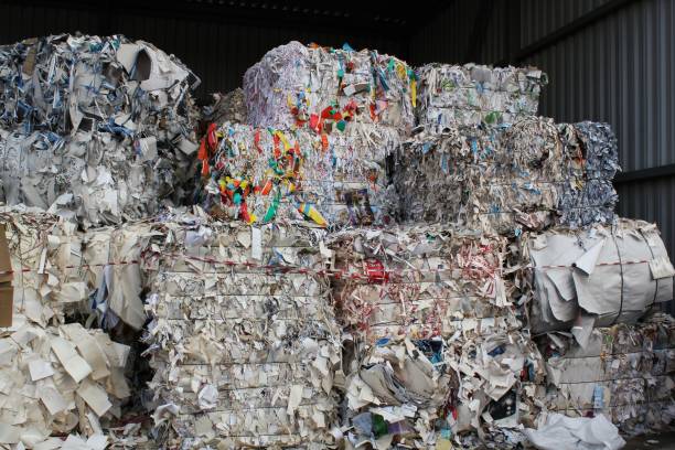 istock Wastepaper compact texture pile for recycling on sorting plant. Technology of reuse materials. Stack of shredded paper 1474543988