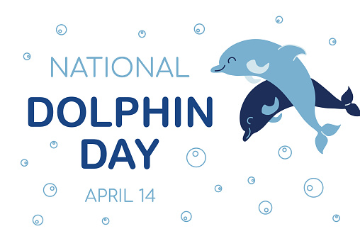 National dolphin day background. Horizontal poster template with typography and two mammals. Flat style vector illustration isolated on white backdrop