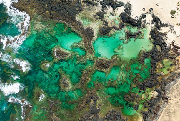 vista aérea de arriba hacia abajo a vista de pájaro de las piscinas naturales y formaciones rocosas volcánicas cerca de el cotillo en fuerteventura, españa, españa - el cotillo fotografías e imágenes de stock