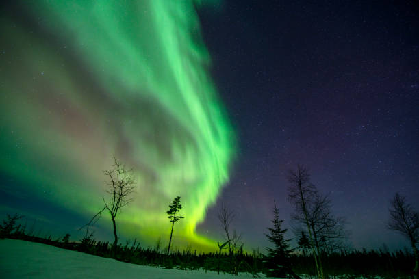 istock Aurora shining ,Swedish forest landscape. 1474555062