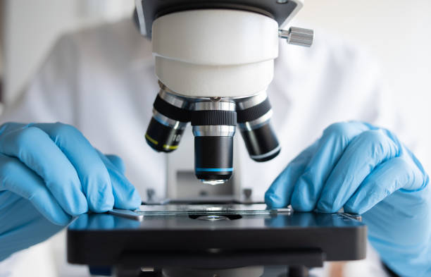 Scientist using microscope in laboratory, making medical testing and research, close-up stock photo