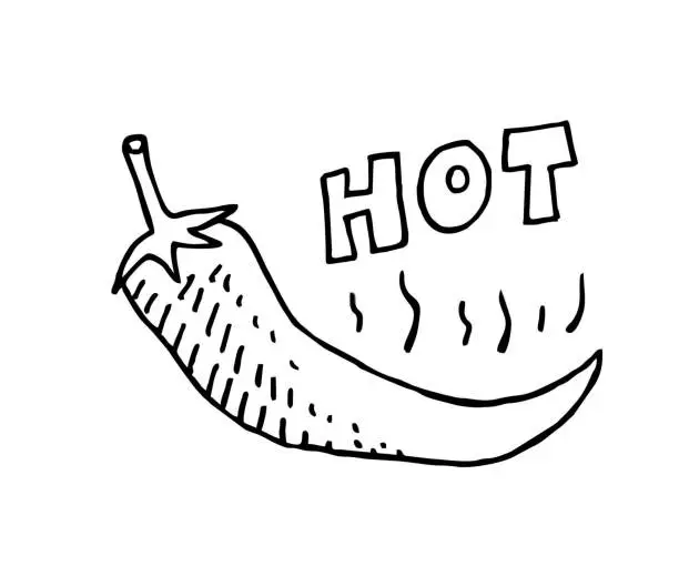 Vector illustration of Hand drawn chili pepper