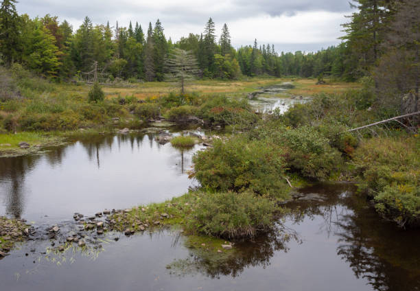 istock Wet Maine countryside in late September 1474583549